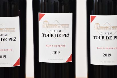 Château TOUR DE PEZ 2019, Saint-Estèphe CB,...