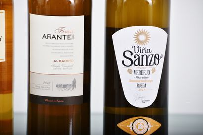 Important lot de vins espagnols env. 150...
