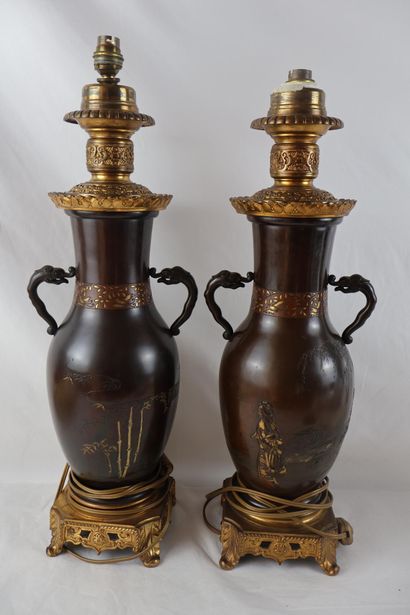 Japan, MEIJI period (1868-1912)
Pair of Shakudo...