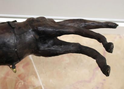 Leather-clad horse 
H. approx. 42 cm