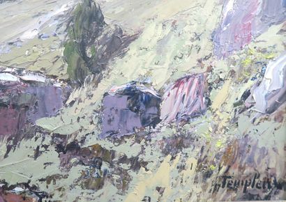 Emmanuel TEMPLEUX (Arbois, 1871-1957)
Paysage...