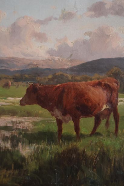 Clément QUINTON (1851-1920)
Vaches au pâturage...