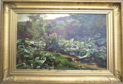 Suiveur d'Emile ISENBART (Besançon, 1846-1921)
Tussilages...