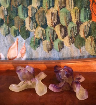 DAUM France
Two iris flowers in mauve and...