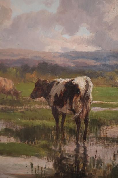 Clément QUINTON (1851-1920)
Vaches au pâturage...