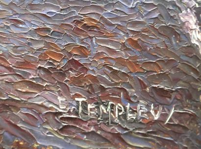 Emmanuel TEMPLEUX (Arbois, 1871-1957)
Paysage...