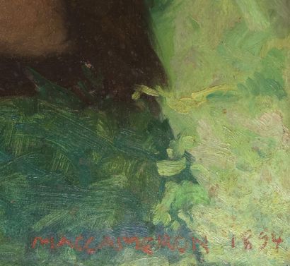 Attribué à Robert Lea MAC CAMERON (1866-1912)
Jeune...