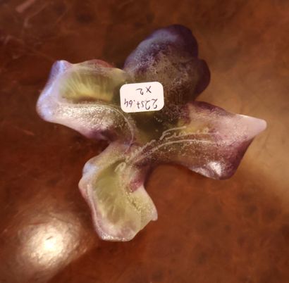 DAUM France
Two iris flowers in mauve and...