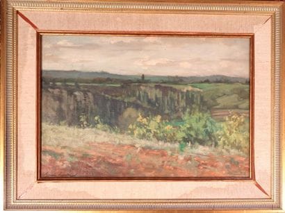 Ecole moderne, Henri ou Louis XX
Paysage...