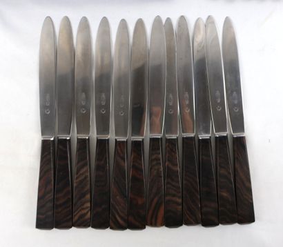 HELIOS
Ensemble de 12 grands couteaux, 12...
