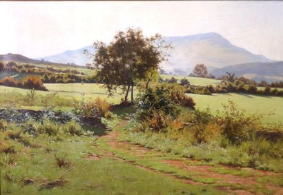 Léon BOUDOT (Besançon, 1851-1930)
Plateau...