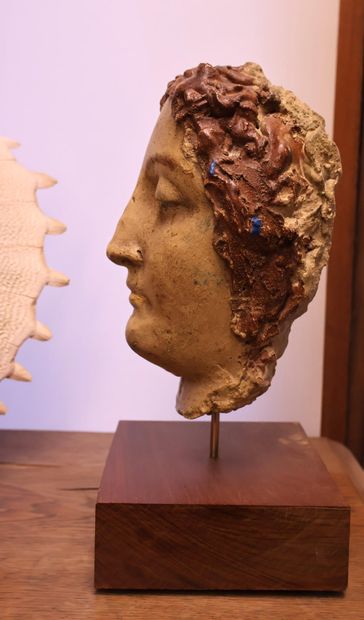 Tête de jeune homme en plâtre peint
H. 23...