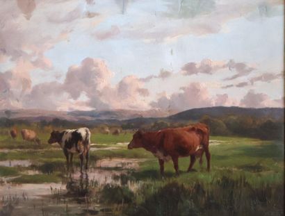 Clément QUINTON (1851-1920)
Vaches au pâturage...