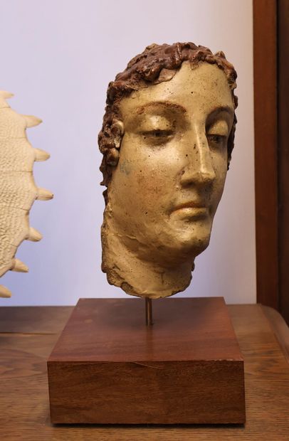 Tête de jeune homme en plâtre peint
H. 23...