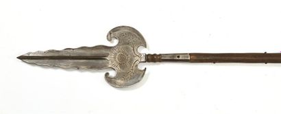France, VIIe (Louis XIV).
Pertuisane de grande...
