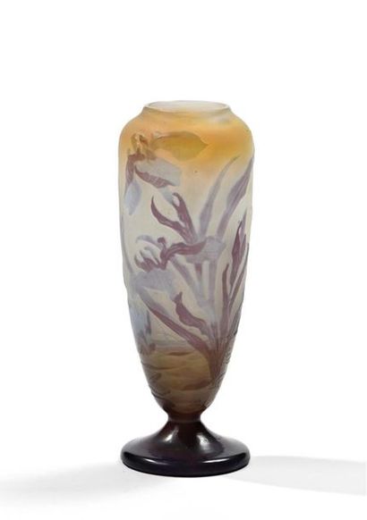 Emile GALLE (1846-1904). 
Petit vase ovoïde...