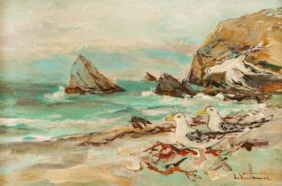 VUILLERMOZ Louis
L'île aux mouettes, Finistère...