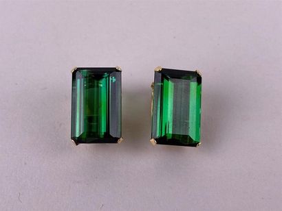 Paire de clips d'oreille en or jaune 18K...