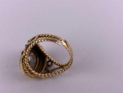 Bague dôme en or jaune et gris 14K centrée...