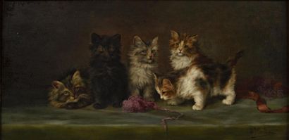 Daniel MERLIN (1861-1933).
Chatons à la pelote...