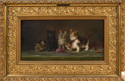 Daniel MERLIN (1861-1933).
Chatons à la pelote...
