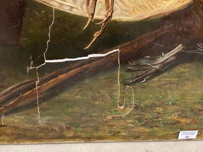 Pierre Gustave DEVILLE (1815-?).
Nature morte...