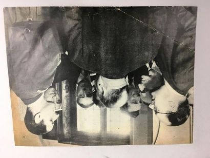 France, XXème.
Souvenirs du Général De Gaulle.
-...