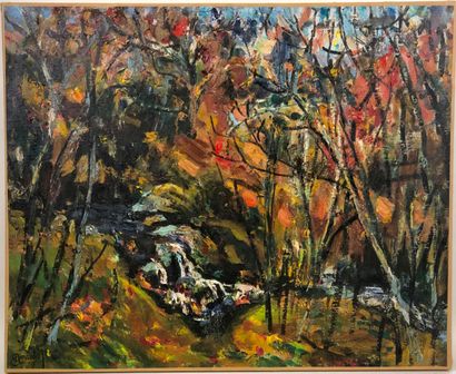 Aimé VALLAT (1912-1993).

The torrent in...