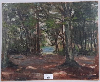 L. de PAUW (20th).

Undergrowth.

Oil on...