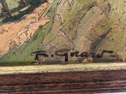 R. GIRARD.

Paysage de montagne.

Huile sur...