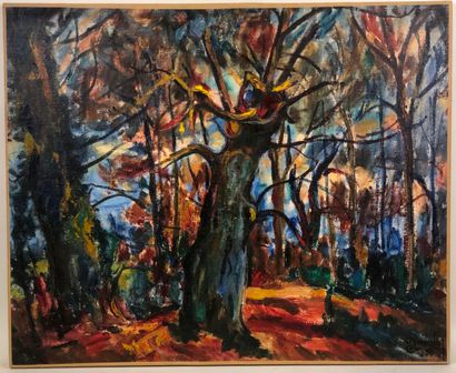 Aimé VALLAT (1912-1993).

The torrent in...