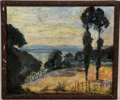 O. TASSAERT (XXe.).

Paysage vallonné.

Huile...