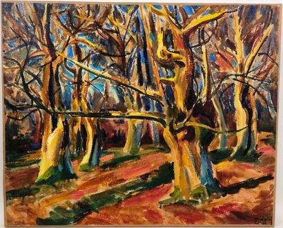 Aimé VALLAT (1912-1993).

Undergrowth in...