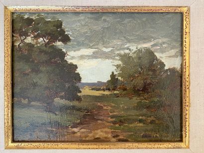 Henri-Joseph HARPIGNIES (1819-1916).

Paysage.

Huile...