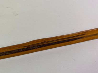 Arc en bois courbé.

Longueur : 157 cm.

(petit...