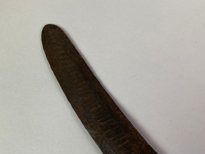 RÉPUBLIQUE DU CONGO.

Arme de jet en fer...