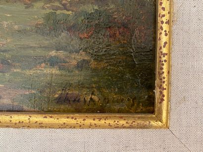 Henri-Joseph HARPIGNIES (1819-1916).

Paysage.

Huile...