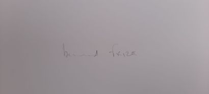 Bernard FRIZE

Sans titre 1

Impression sur...