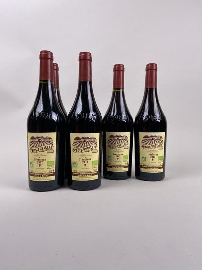 ARBOIS PUPILLIN. Domaine Overnoy-Crinquand....