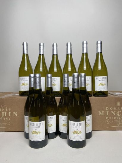 TOURAINE. Domaine Bertrand Minchin. Absolument...