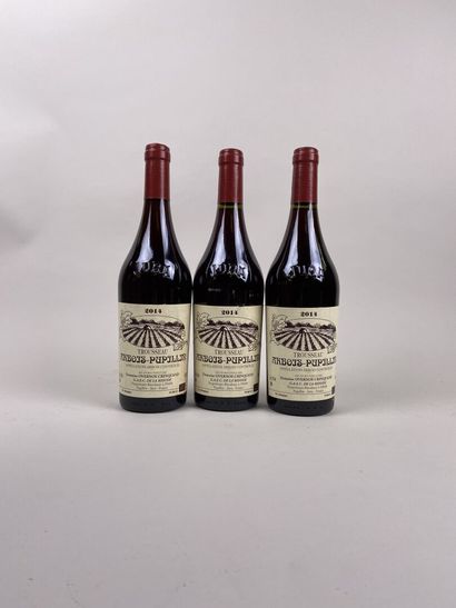 ARBOIS PUPILLIN. Domaine Overnoy-Crinquand....