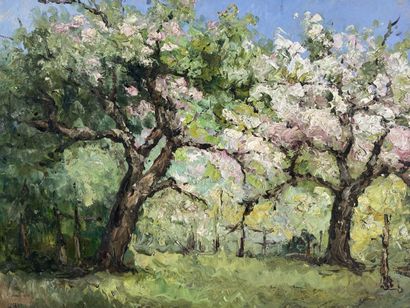 SAUTEREAU (XXth).

The orchard in spring.

Oil...