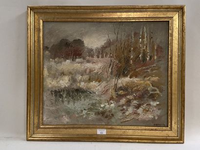 Aurore BOURSIN (born in 1945).

Countryside.

Oil...