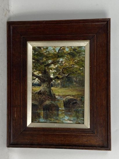 Phelan GIBB (1870-1948).

The Big Tree by...