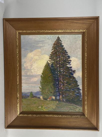 François JACQUES (1877-1937).

The big pine...