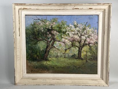 SAUTEREAU (XXth).

The orchard in spring.

Oil...