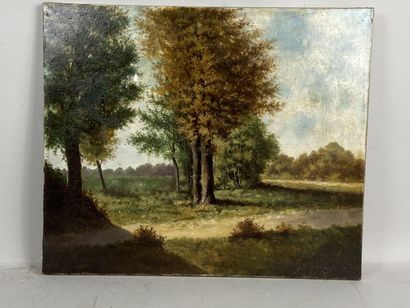 French school of the 19th century.

Countryside...