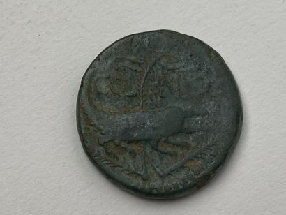 NEMAUSUS NIMES. August & Agrippa. 

Ier siècle...
