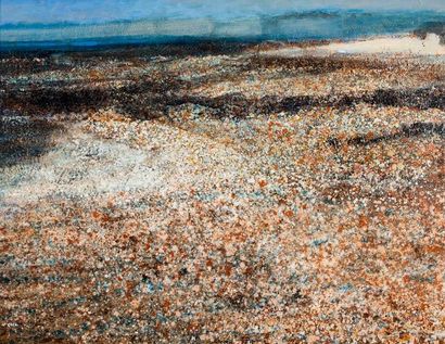 LEGUEN Jean
Plage de Bretagne Huile sur toile...