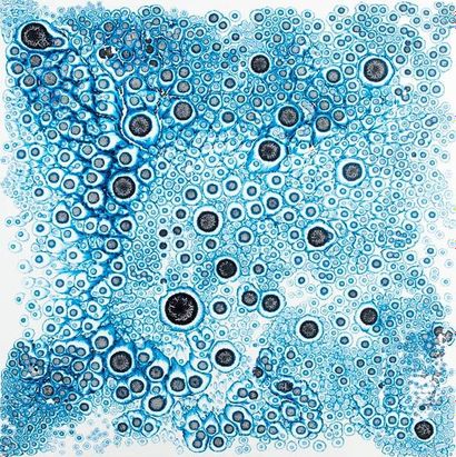 LE DIBERDER Erwann
Cosmic blue Technique...